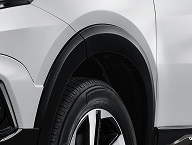 Black Glossy Over Fender